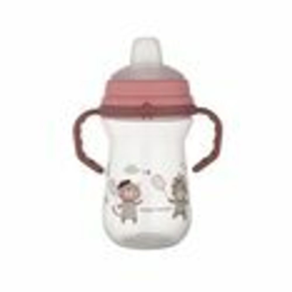 Cana cu Cioc Silicon Bonjour Paris Roz, 56/613, 250ml, Canpol