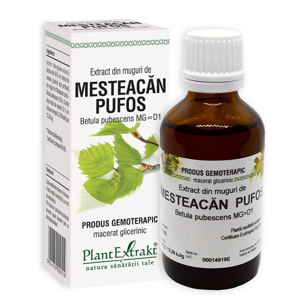 Extract din muguri de Mesteacan Pufos, 50 ml, Plant Extrakt