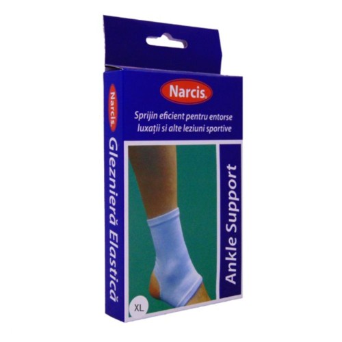 Narcis Glezniera Elastica XL x 1