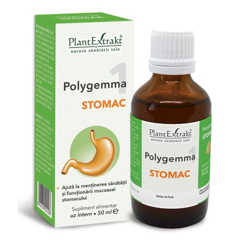 Polygemma 1, Stomac, 50 ml, Plant Extrakt