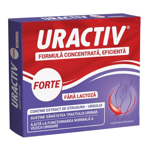 Uractiv Forte fara Lactoza, 10 capsule, Terapia